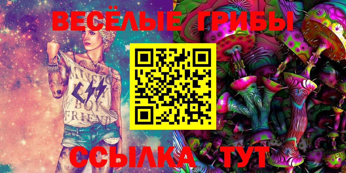 Лосино-Петровский  Галлюциногенные грибы Psilocybe  Галлюциногенные грибы ЛСД  Вход с VPN 